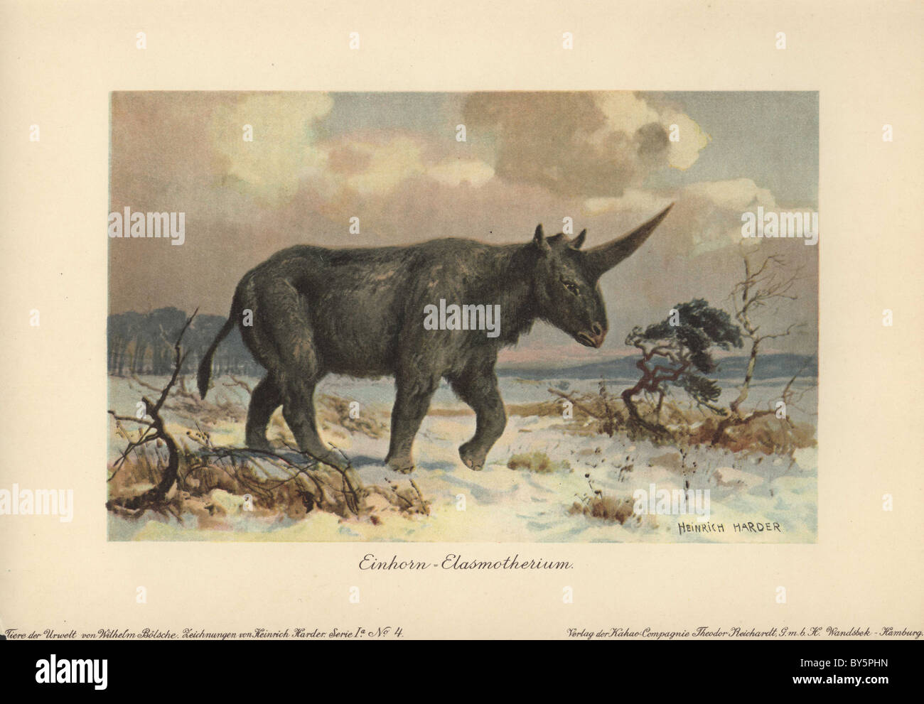 Elasmotherium era un genere estinto di rinoceronte gigante. Foto Stock