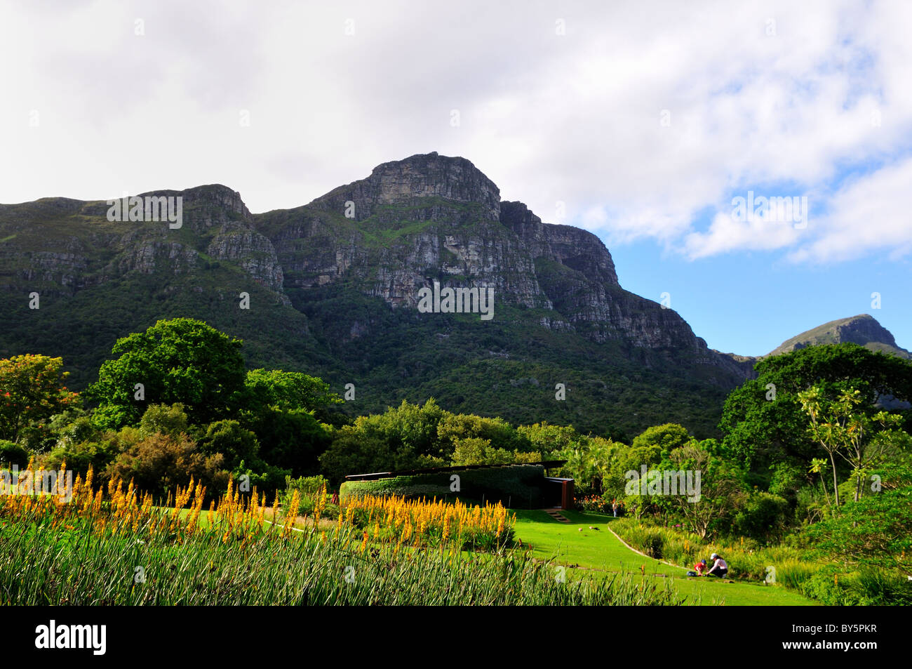 Montagne oltre i Kirstenbosch National Botanical Garden. Cape Town, Sud Africa. Foto Stock