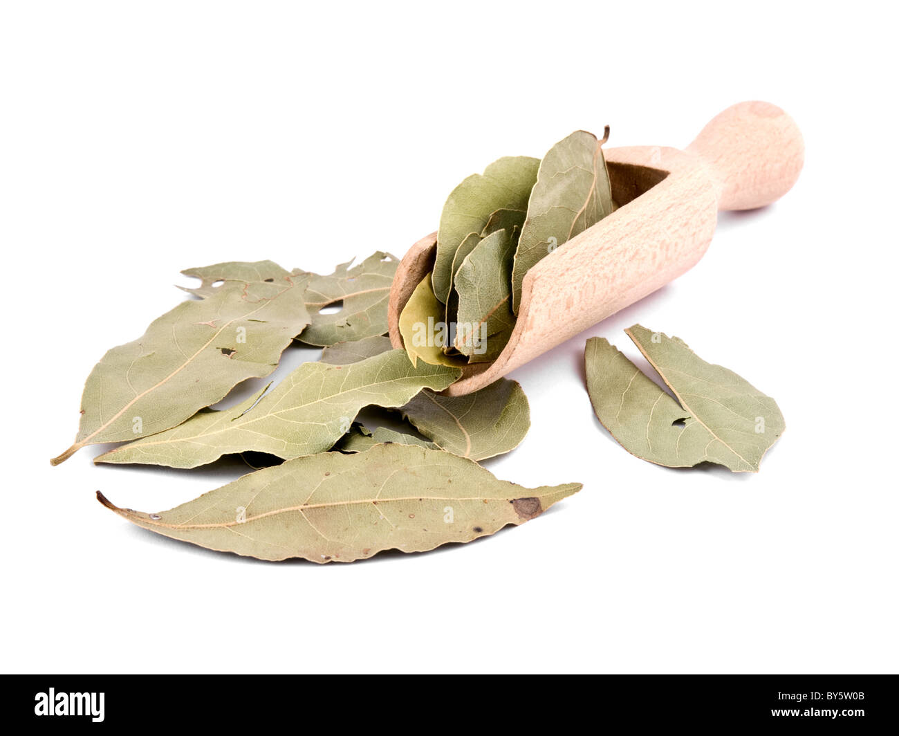 Asciutta baia aromatico di foglie con pala in legno su sfondo bianco Foto Stock