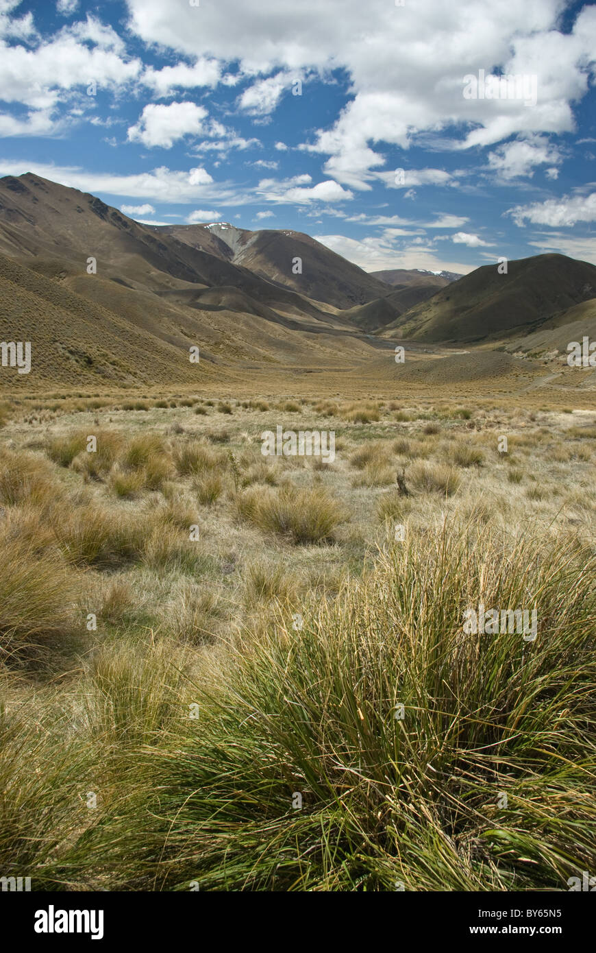 Lindis Pass nell'Isola del Sud. Foto Stock
