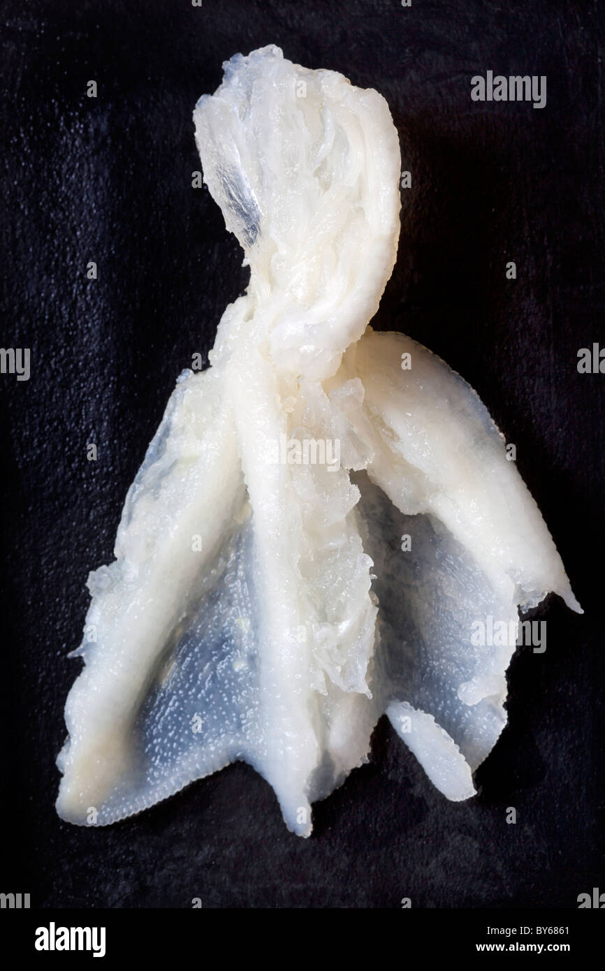Boiled Ducks Feet - un esempio dello strano o strano cibo mangiato dalle persone di tutto il mondo Foto Stock