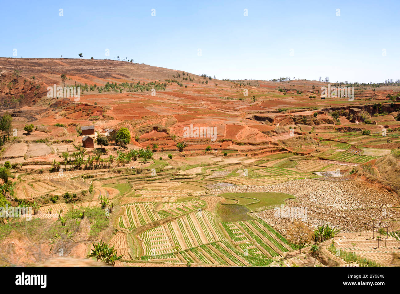 Paesaggio con risaie e colture assortiti circa 20 km a nord di Antananarivo, la capitale del Madagascar. Foto Stock