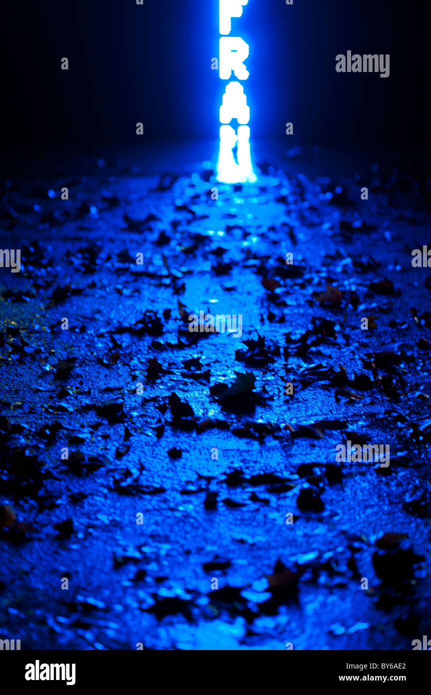 Le luci di uscita di ortografia dei nomi delle vittime della guerra sono riflesse sul panno sentiero coperto di foglie in autunno nel VII arrondissement di Parigi. Molto esigua profondità di campo utilizzato. Foto Stock