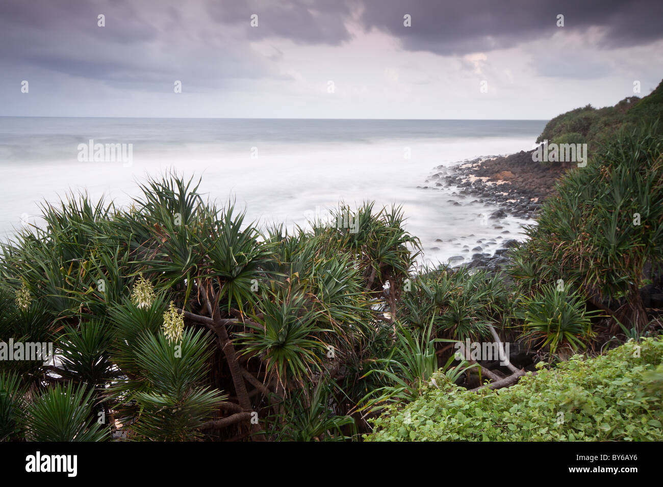 Australian seascape al crepuscolo con alberi nativi Foto Stock