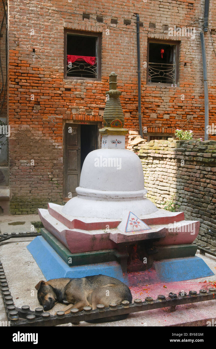 Cane giorno pomeriggio, dormendo in uno stupa di Kathmandu in Nepal Foto Stock