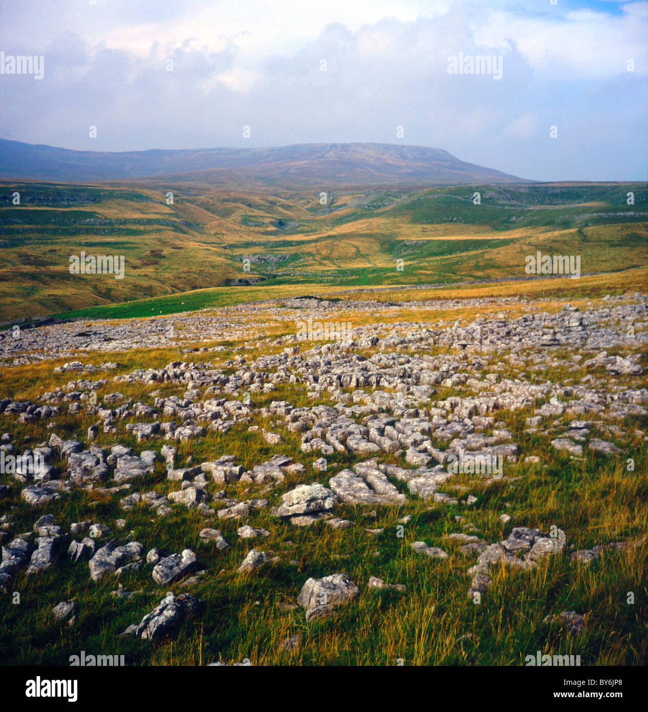 Calcare carbonifero paesaggio carsico scenario Yorkshire Dales National Park in Inghilterra Foto Stock