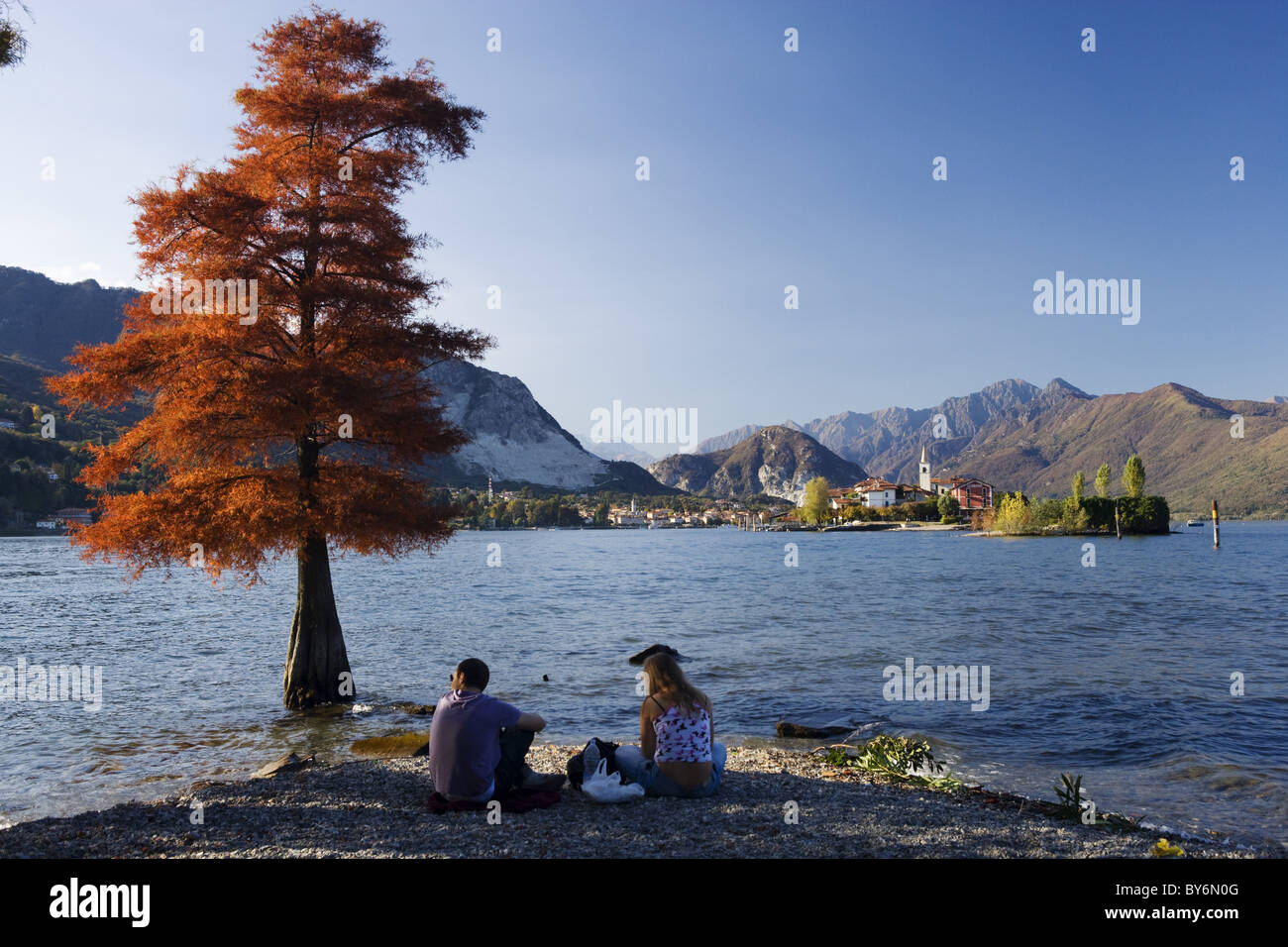Matura in riva al lago, vista dall Isola Bella verso l Isola Superiore o dei Pescatori, Lago Maggiore, Piemonte, Italia Foto Stock