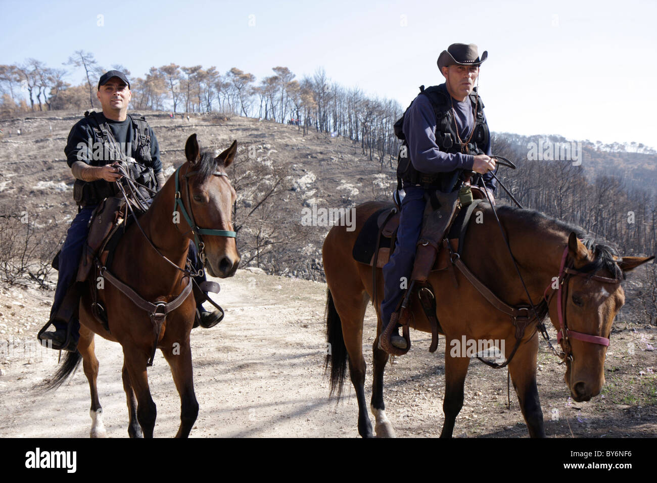 Due ufficiali della polizia a cavallo su cavalli al monte Carmelo in Israele dopo un grande incendio di boschi della zona. Foto Stock