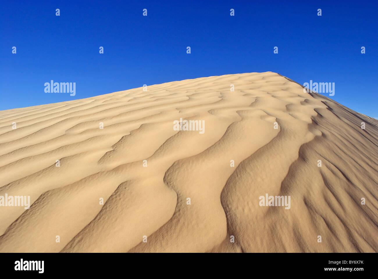 Le dune di sabbia del deserto del Sahara vicino a Douz, Tunisia Foto Stock