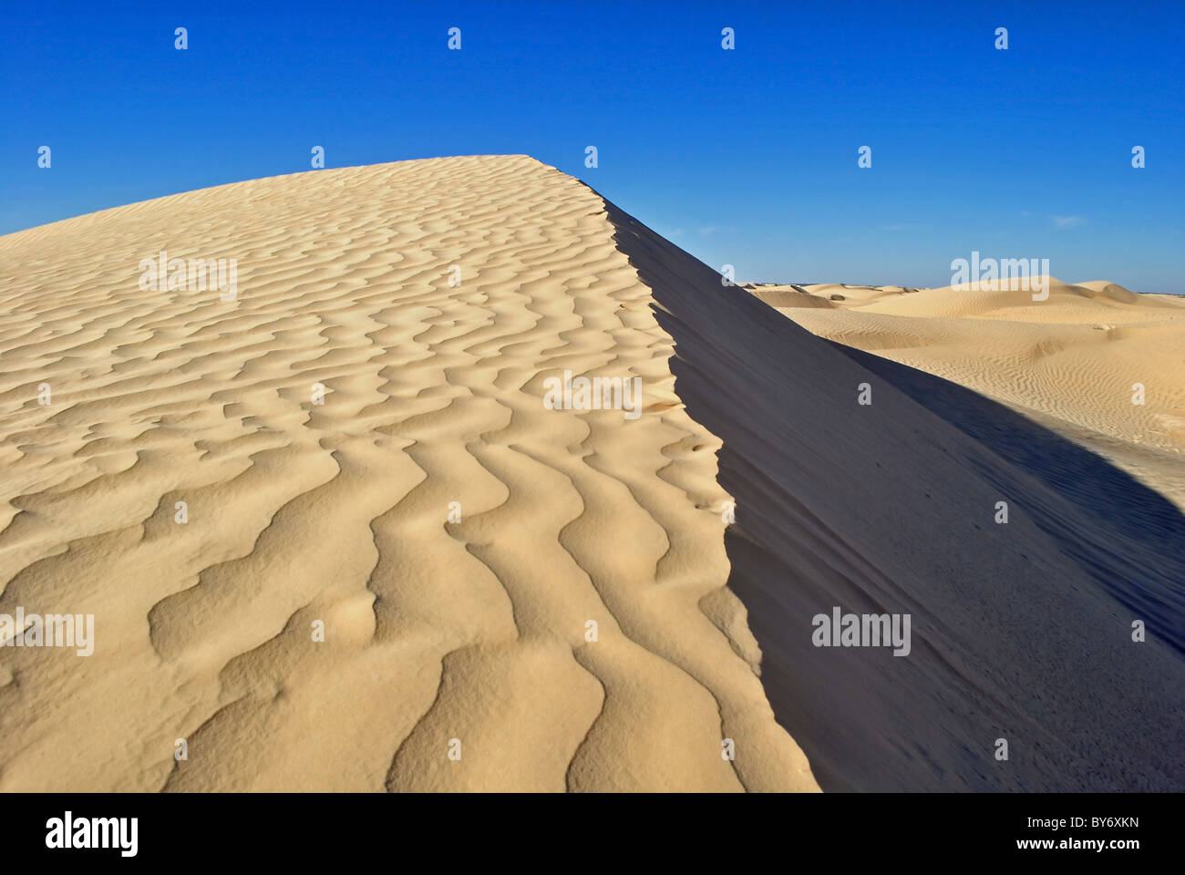 Le dune di sabbia del deserto del Sahara vicino a Douz, Tunisia Foto Stock
