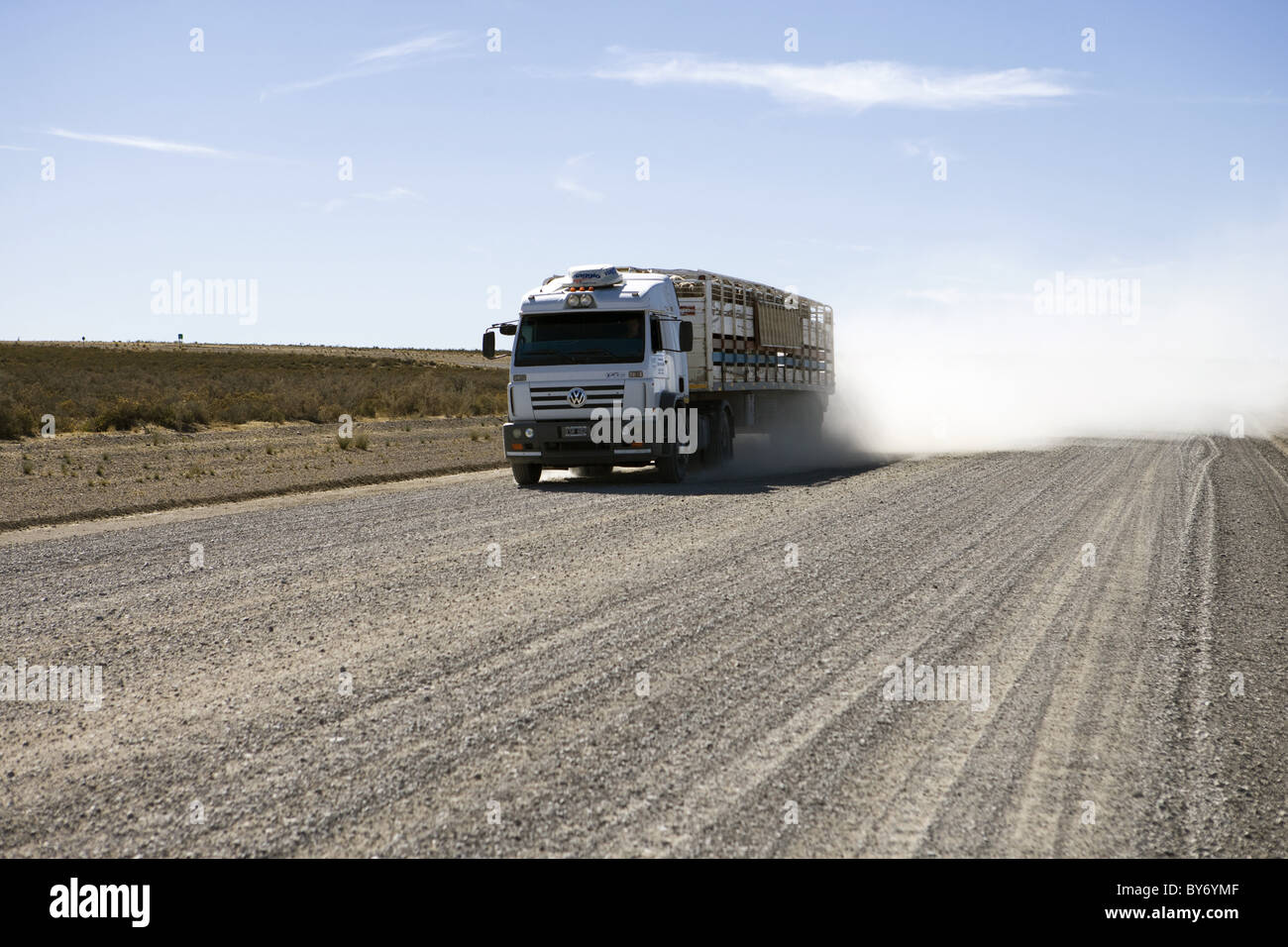 Carrello veloce su strada di ghiaia, Penisola Valdes, Chubut, Patagonia, Argentina, Sud America, America Foto Stock