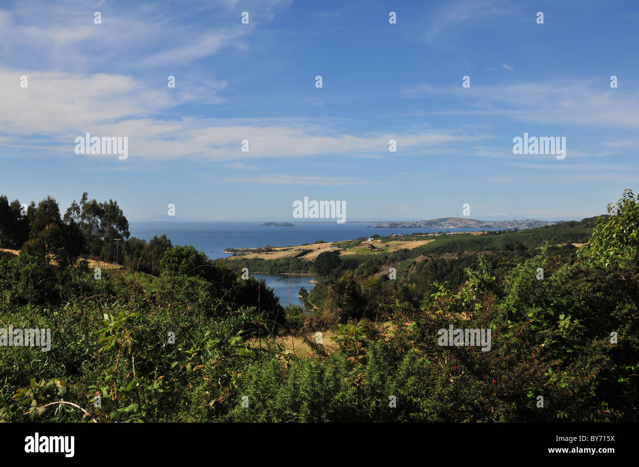 Vista costiera, con Fuchsia magellanica, di azzurro golfo di Ancud verso vulcani andini Calbuco Tronador, Isola di Chiloe, Cile Foto Stock