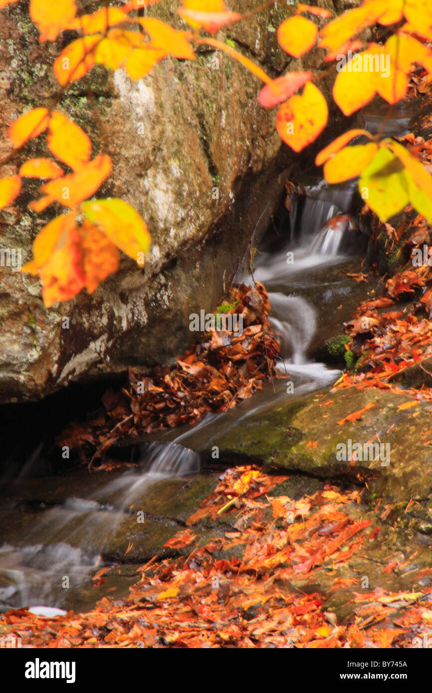 Cascata di azalea Trail, Stato di DeSoto Park, Fort Payne, Alabama, STATI UNITI D'AMERICA Foto Stock