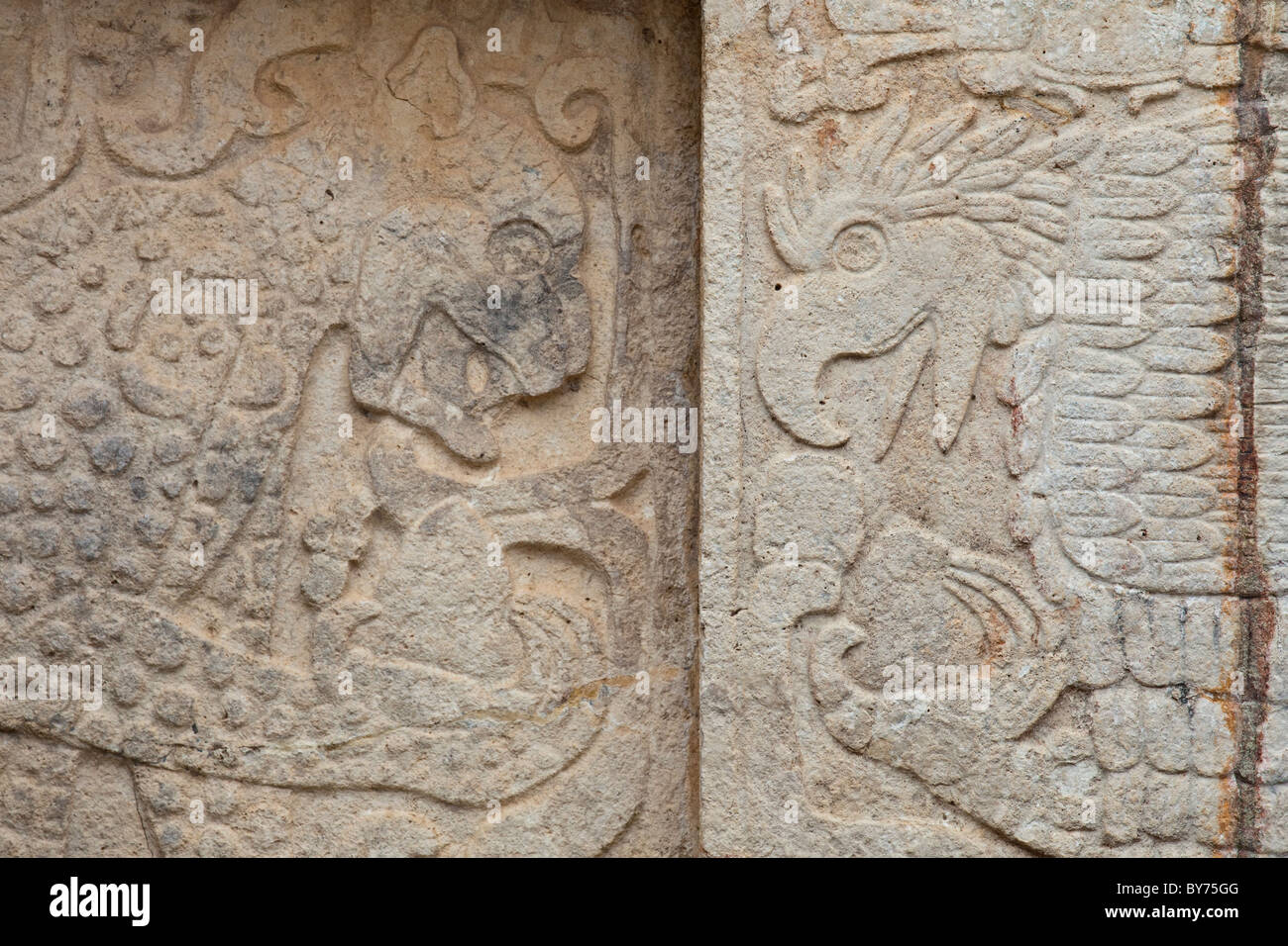 Eagle e Jaguar tenendo i cuori, Platforma de los Aguilas y los jaguares, Chichen Itza, Messico Foto Stock