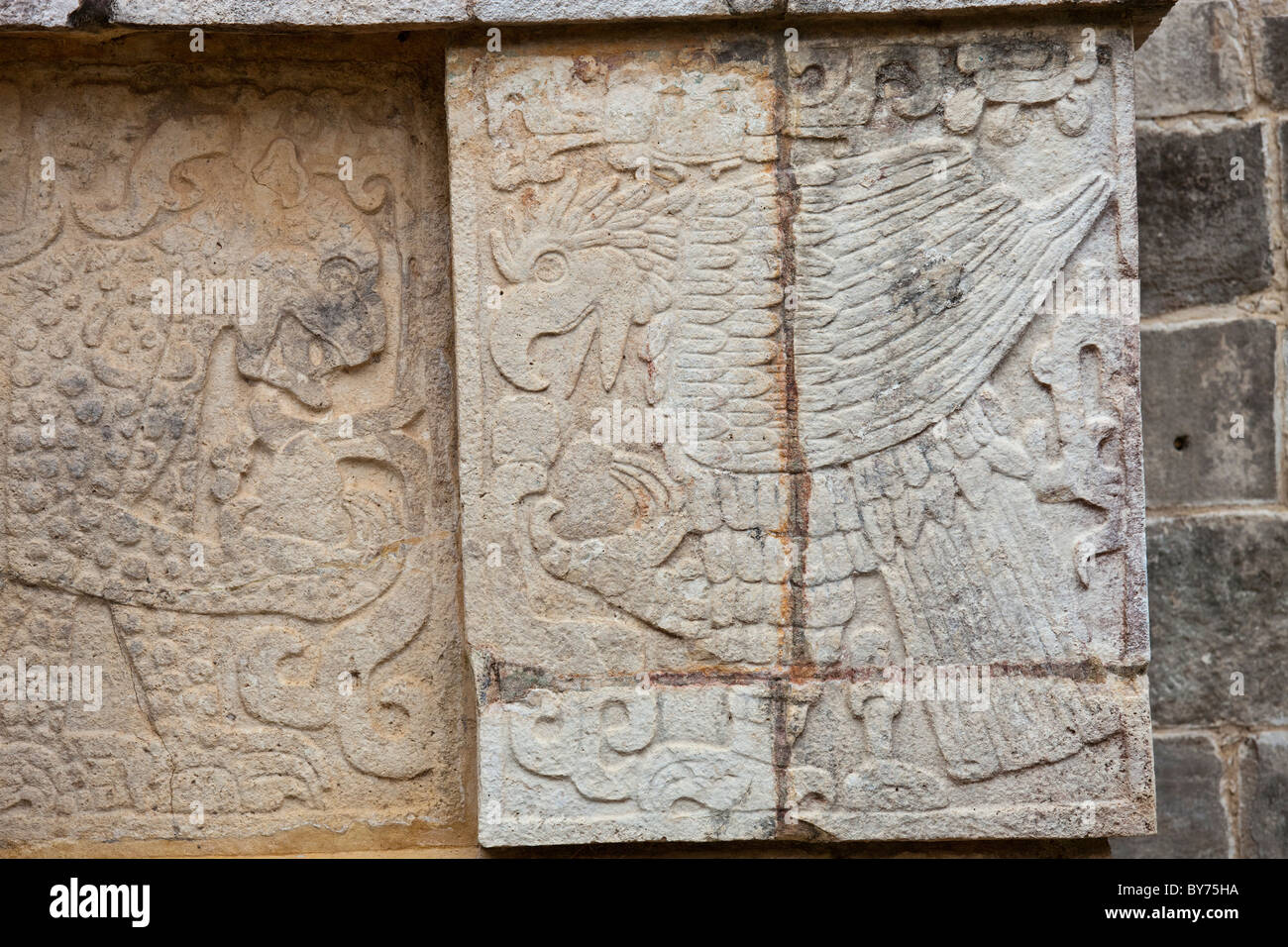 Aquila che tiene il cuore, Platforma de los Aguilas y los jaguares, Chichen Itza, Messico Foto Stock