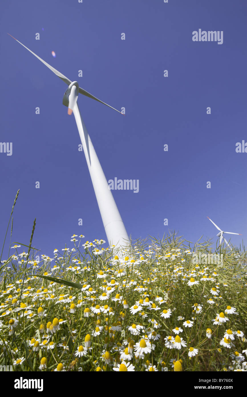 Le turbine eoliche, Dithmarschen, Schleswig-Holstein, Germania Foto Stock