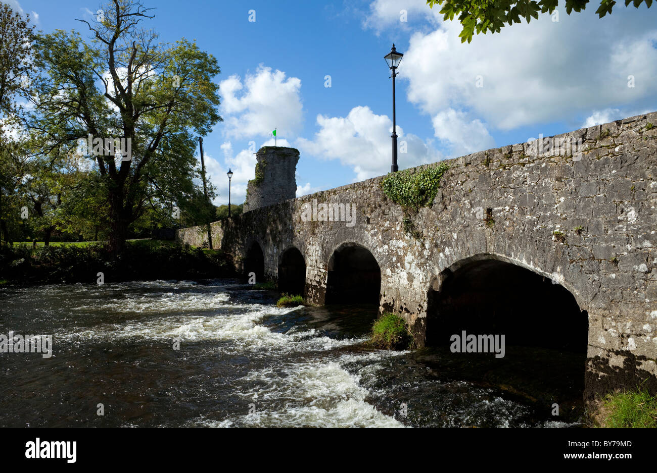 Ponte sul fiume Suir, Golden, nella contea di Tipperary, Irlanda Foto Stock