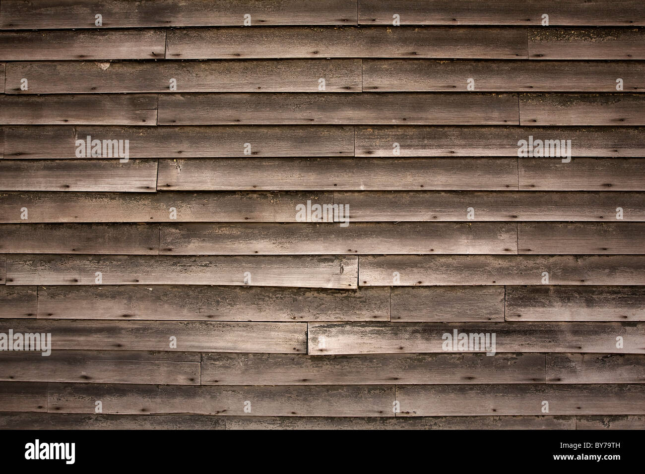 Pareti in legno Texture Foto Stock