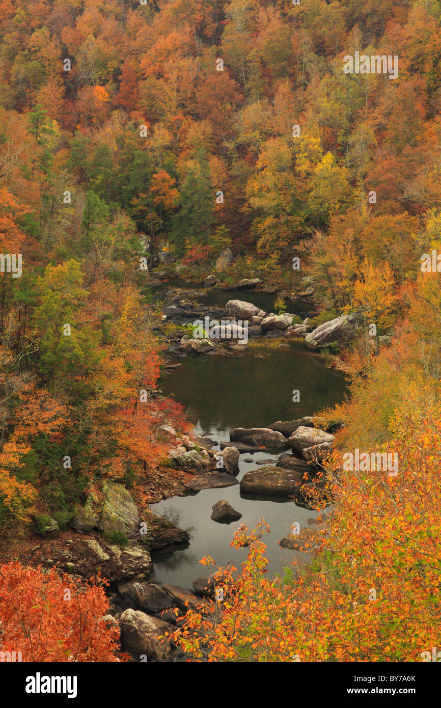 Close-up di fiume dalla vista del Canyon Overlook, Little River Canyon National Preserve, Fort Payne, Alabama, STATI UNITI D'AMERICA Foto Stock