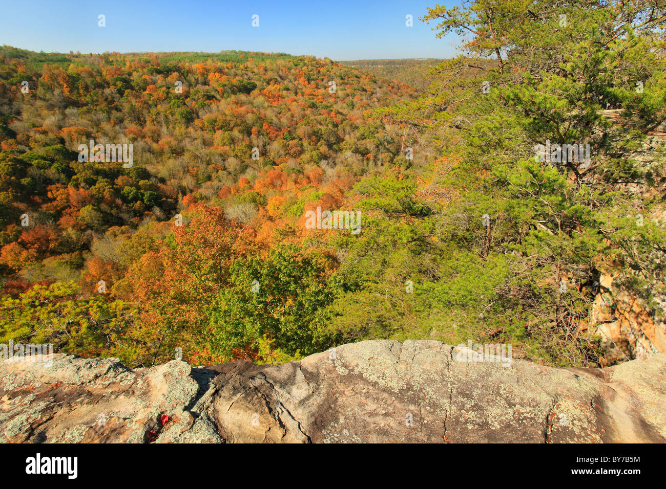 Il Buck's Pocket del Parco Statale di Oak Grove, Alabama, STATI UNITI D'AMERICA Foto Stock