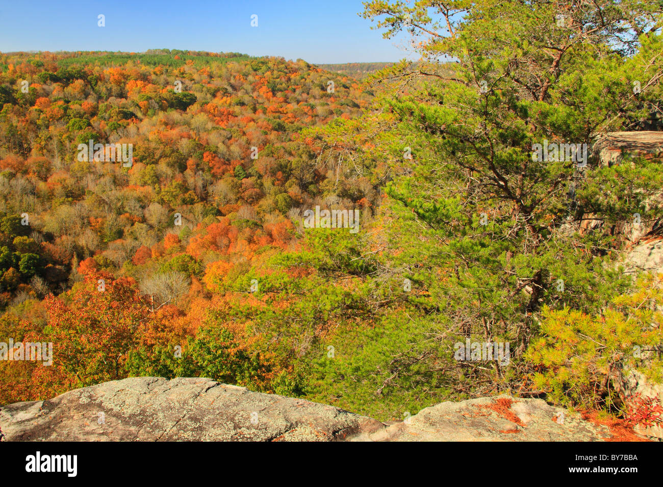 Il Buck's Pocket del Parco Statale di Oak Grove, Alabama, STATI UNITI D'AMERICA Foto Stock