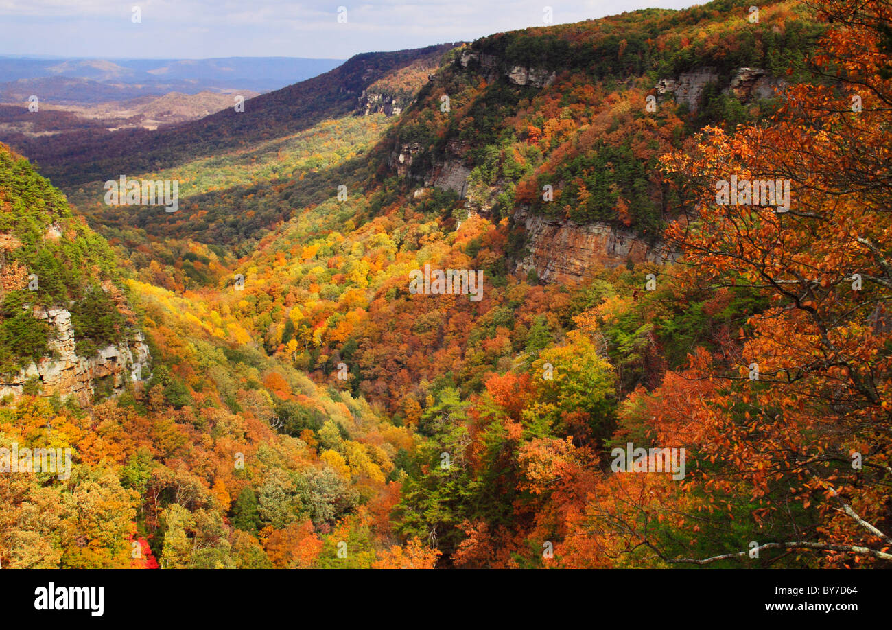 Si affacciano sul sentiero, Cloudland Canyon State Park, Rising fulvo, GEORGIA, STATI UNITI D'AMERICA Foto Stock