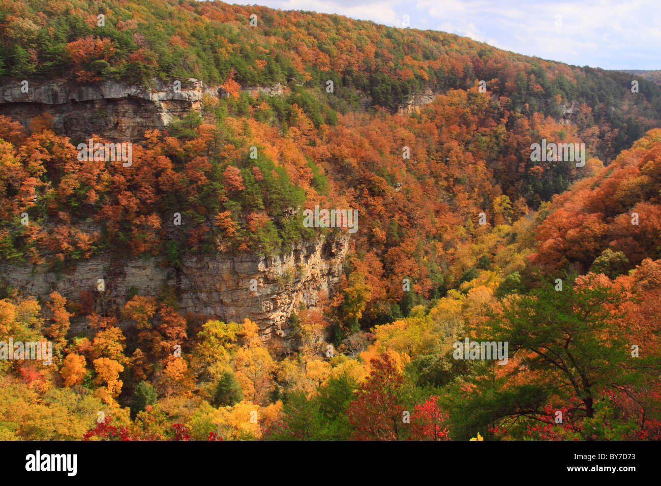Si affacciano sul sentiero, Cloudland Canyon State Park, Rising fulvo, GEORGIA, STATI UNITI D'AMERICA Foto Stock