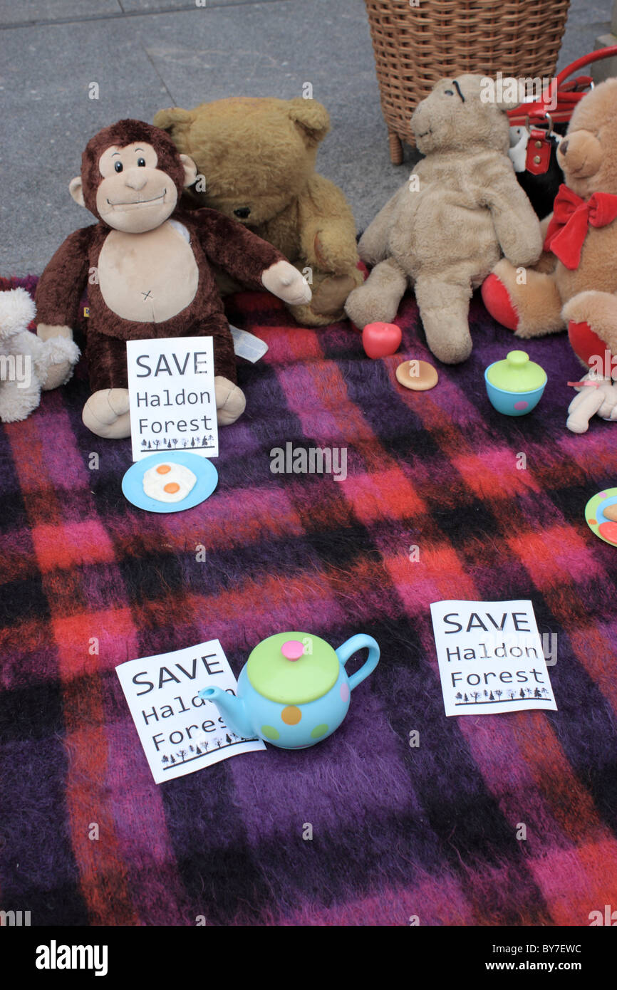 22/1/10 Exeter Amici della Terra protesta in High St Exeter Regno Unito contro gov vendere fuori delle foreste peluche orsetti picnic Foto Stock