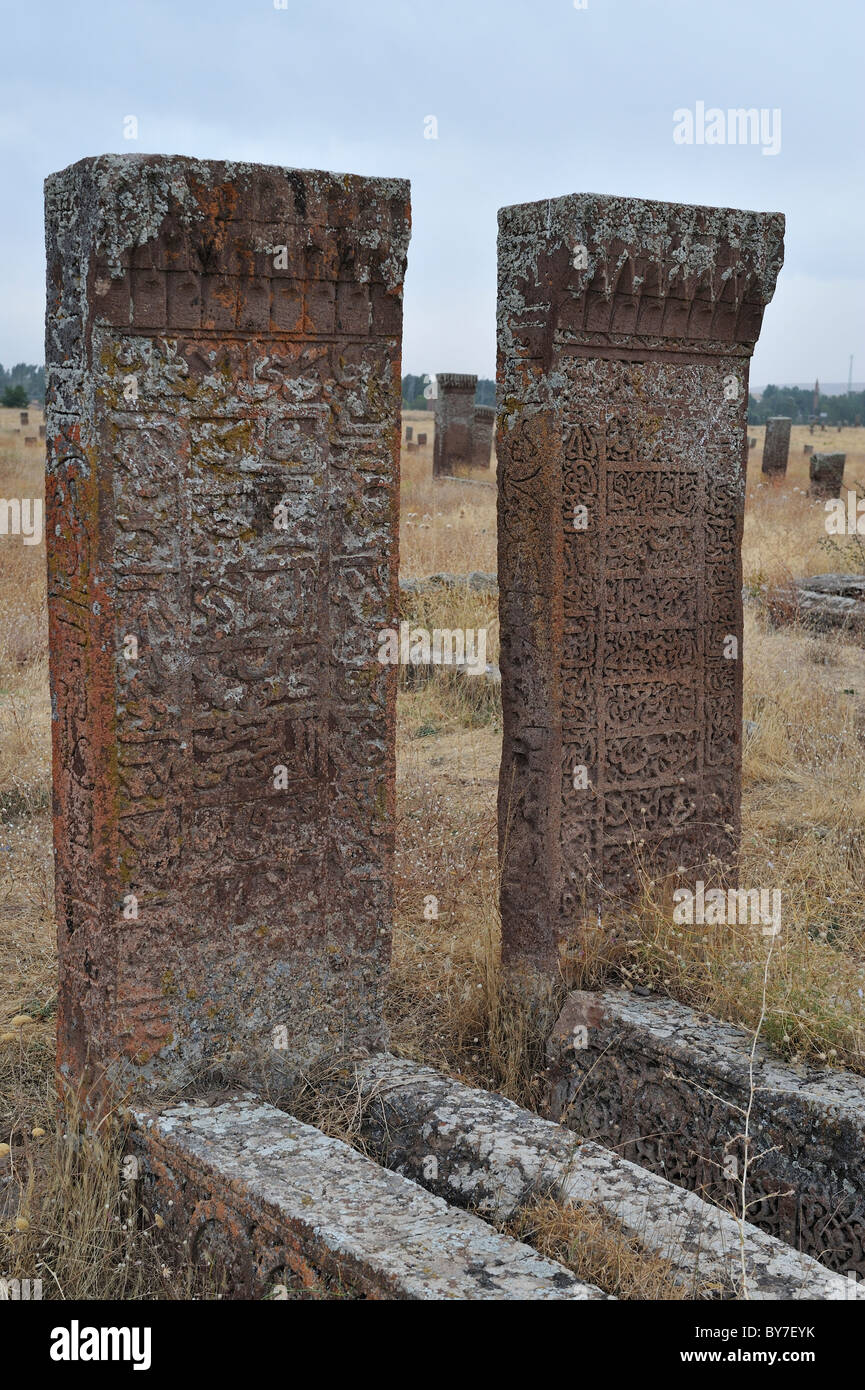 Lapide del cimitero di Seljuk, Ahlat, Turchia 100925 37082 Foto Stock