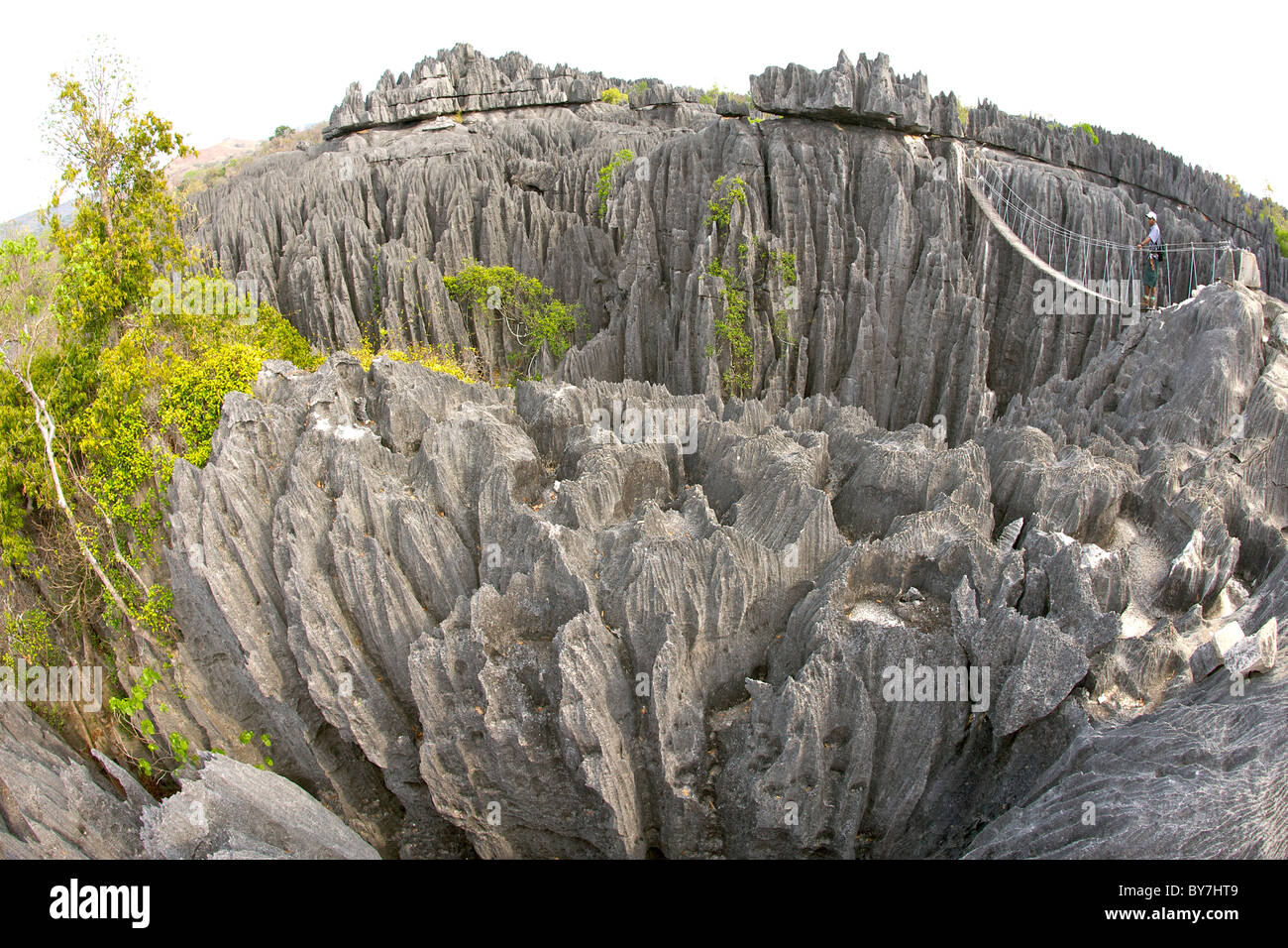 Un uomo in piedi sul ponte di sospensione nel Grand Tsingy di Tsingy de Bemaraha National Park nella parte occidentale del Madagascar. Foto Stock