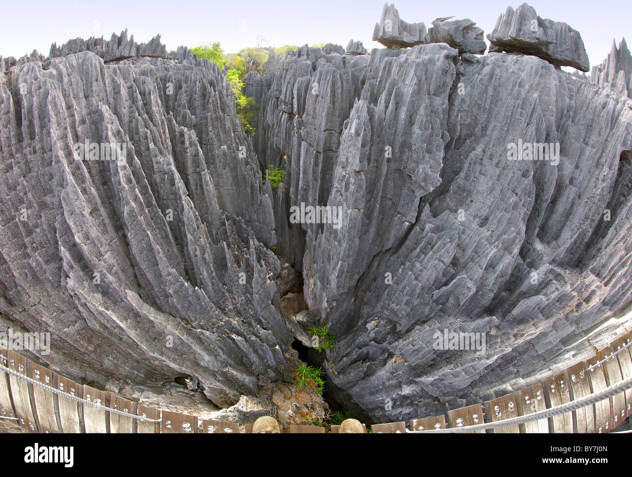 Vista dal ponte di sospensione attraverso il Grand Tsingy paesaggio di Tsingy de Bemaraha National Park nella parte occidentale del Madagascar. Foto Stock