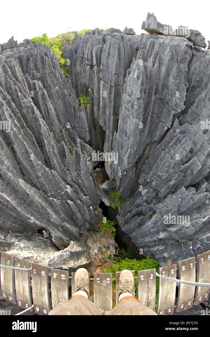 Vista dal ponte di sospensione attraverso il Grand Tsingy paesaggio di Tsingy de Bemaraha National Park nella parte occidentale del Madagascar. Foto Stock