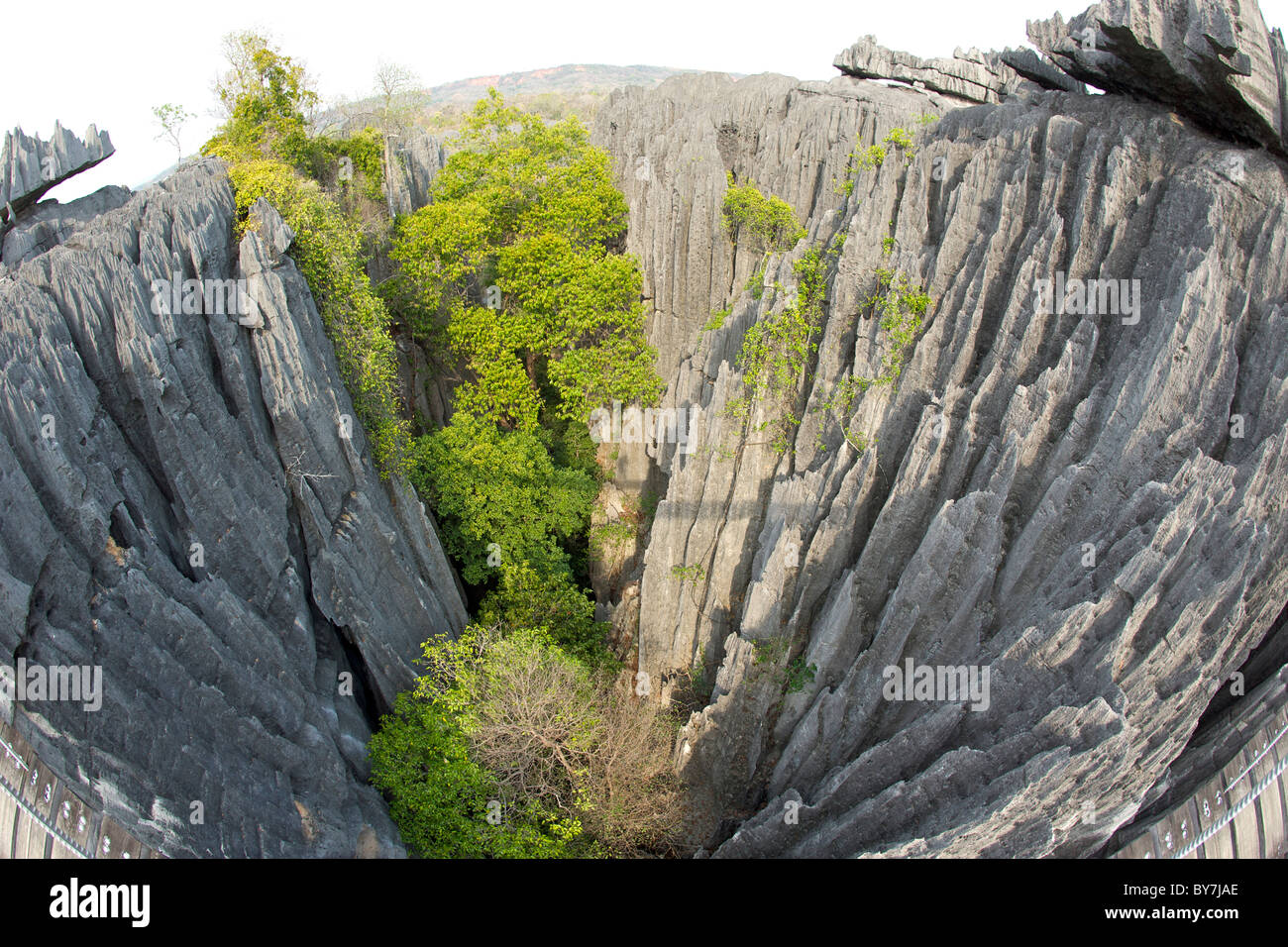 Vista dal ponte di sospensione attraverso il Grand Tsingy paesaggio di Tsingy de Bemaraha National Park nella parte occidentale del Madagascar. Foto Stock