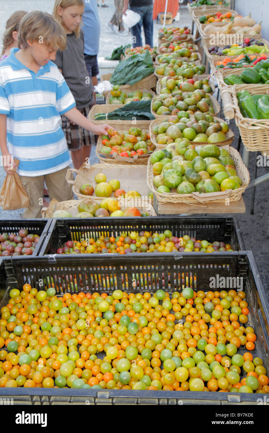 Tennessee Chattanooga, Main Street Farmers Market, cibo sostenibile, stagionale, prodotti coltivati localmente, verdure, biologico, fattoria a tavola, heirloom, ciliegia toma Foto Stock