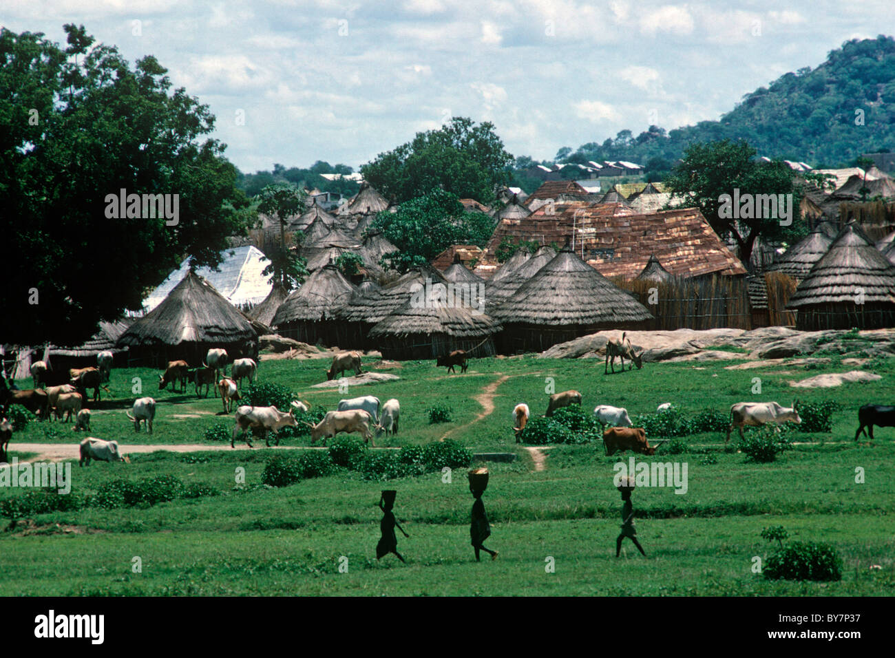 Alloggiamento tipico intorno a Juba nel sud Sudan. La vita in questa regione non è cambiata molto, sviluppo ostacolata da guerre infinite. Foto Stock