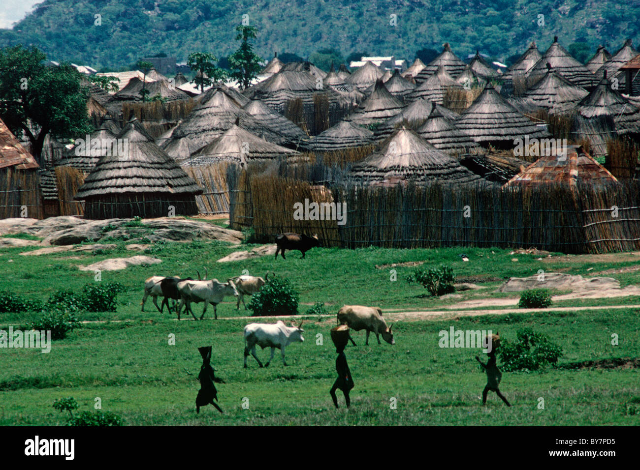 Alloggiamento tipico intorno a Juba nel sud Sudan. La vita in questa regione non è cambiata molto, sviluppo ostacolata da guerre infinite. Foto Stock