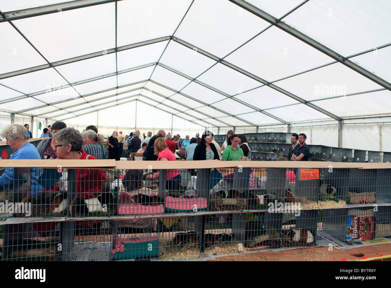 Regno Unito west sussex parham west sussex county fair il criceto visualizza Foto Stock