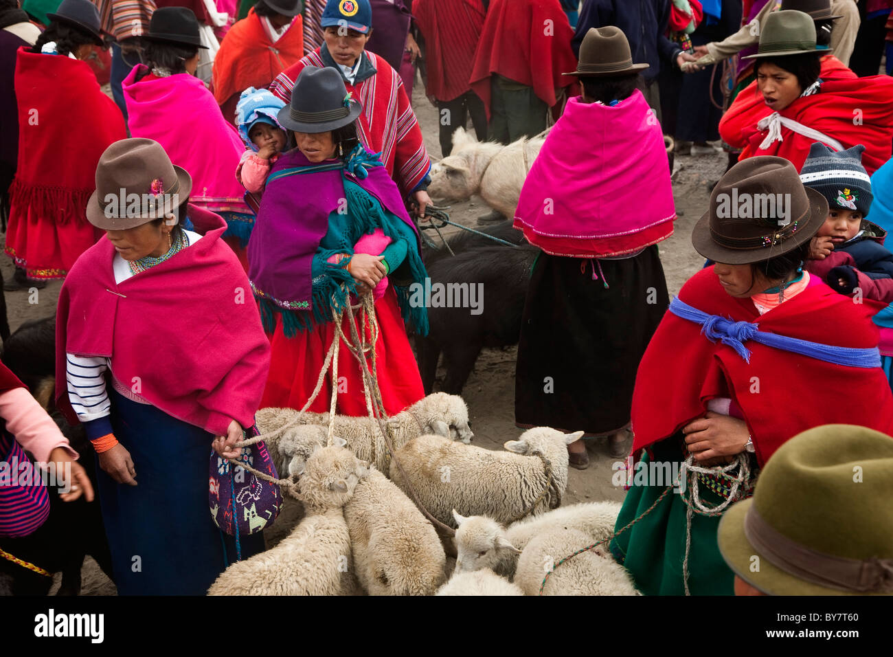 Mercato di animali, Guamote, nr Riobamba, Highlands Centrali, Ecuador Foto Stock