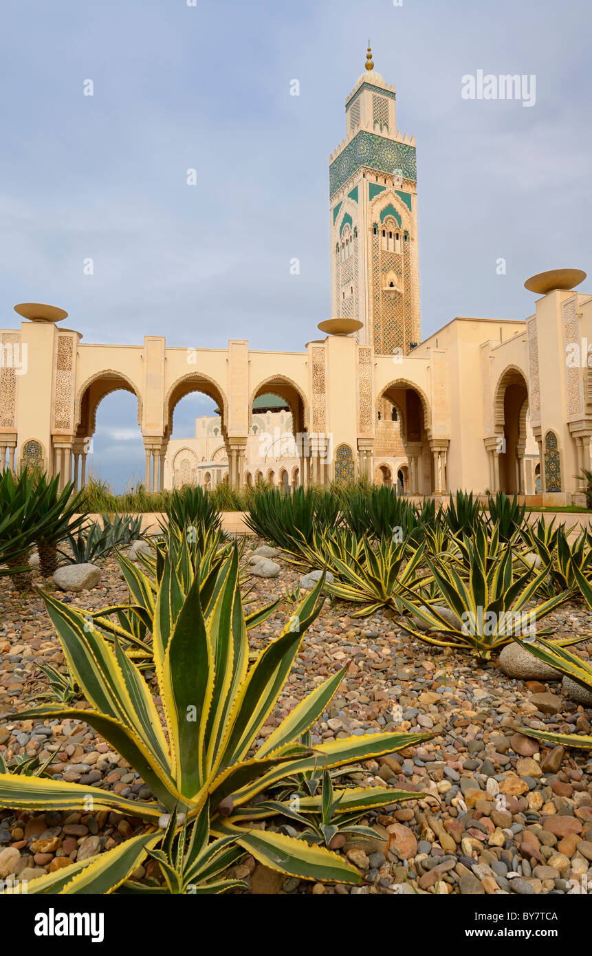 Yucca piante in giardino di roccia alla Moschea di Hassan II e mondi più alto minareto con architettura moresca di Casablanca in Marocco Foto Stock