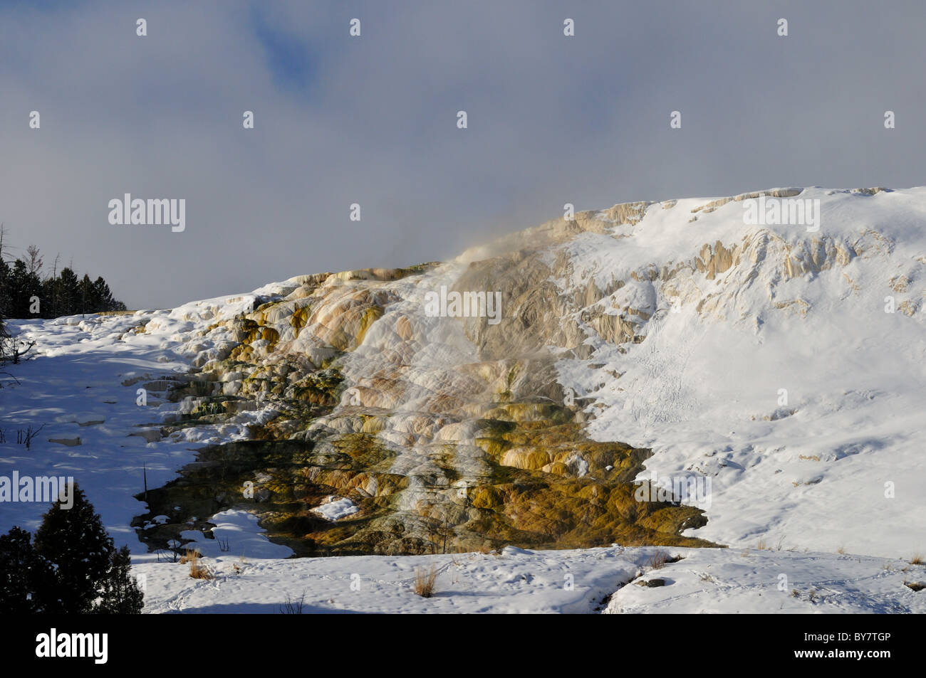 Steamy runoff dal Canary molla. Parco Nazionale di Yellowstone, Wyoming negli Stati Uniti. Foto Stock