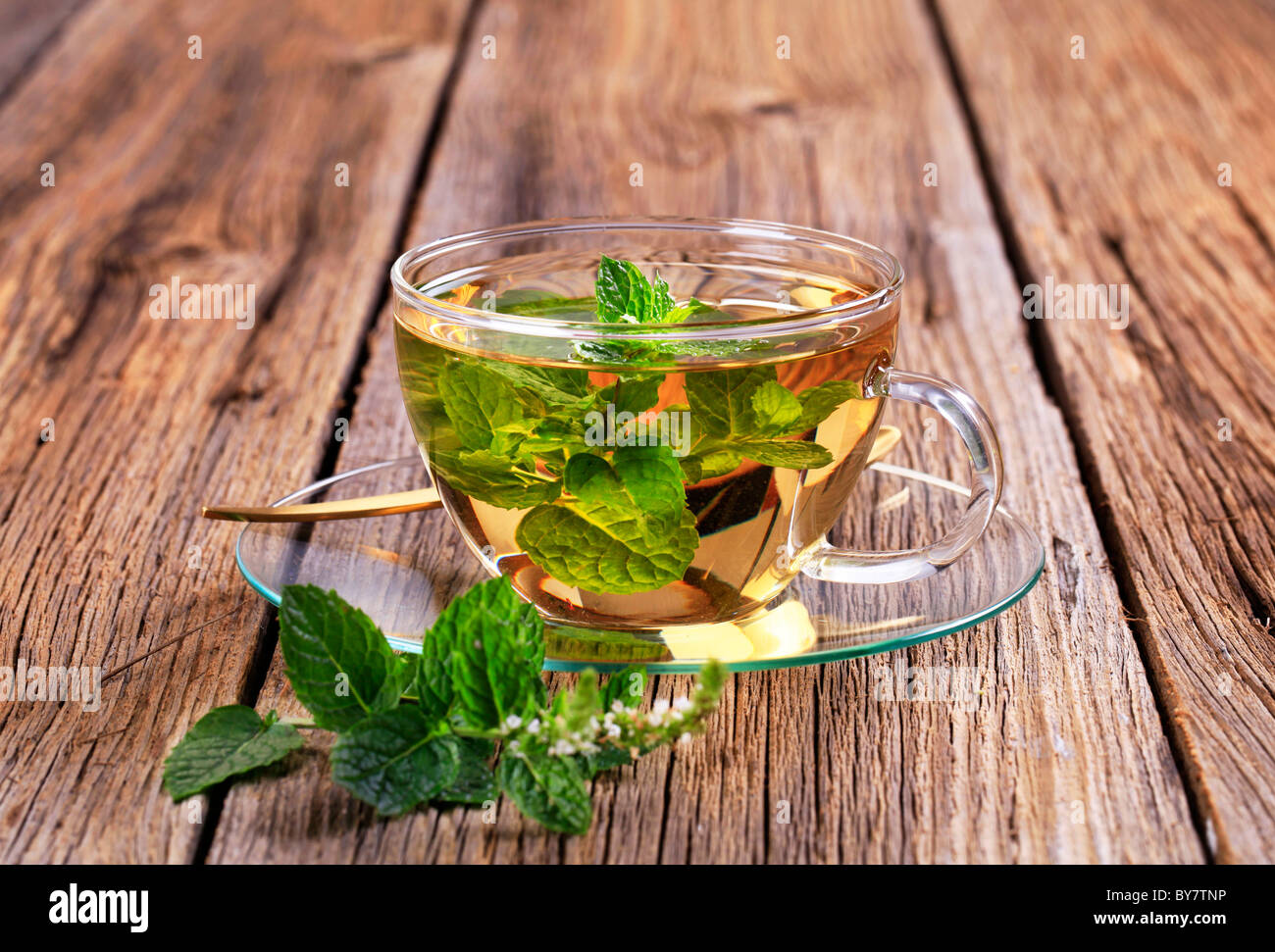Il tè alla menta fatta di foglie di menta fresca Foto Stock