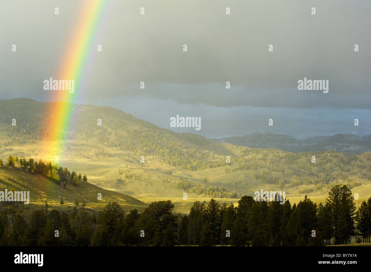 Rainbow su Yellowstone. Foto Stock