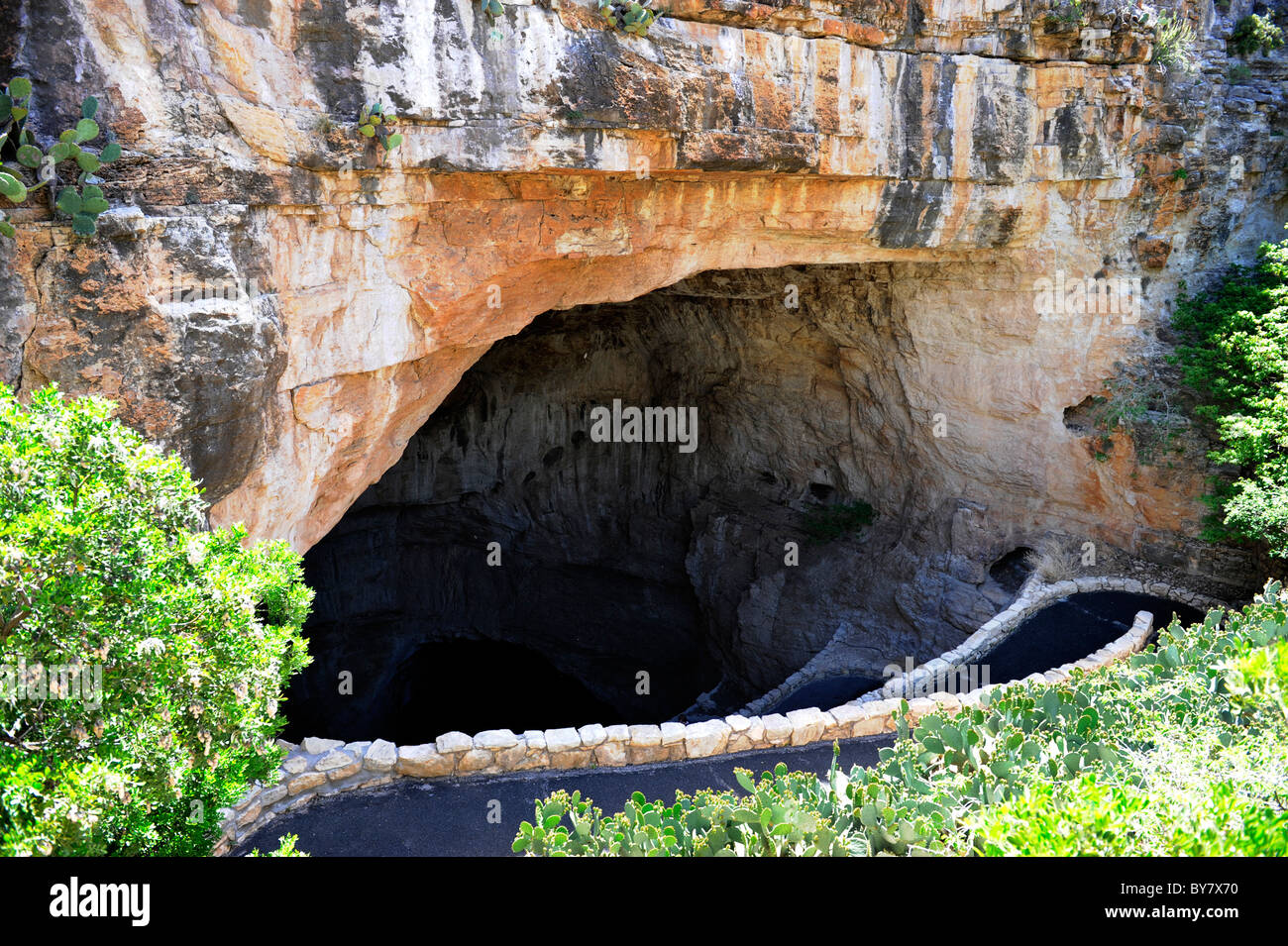 Pipistrelli Area Entrata parco nazionale di Carlsbad Cavern Foto Stock