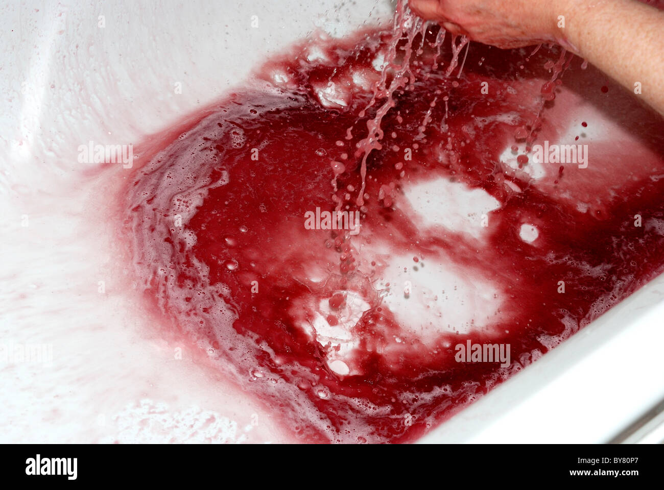 Risciacquo femmina Colore prugna tintura per capelli Foto Stock