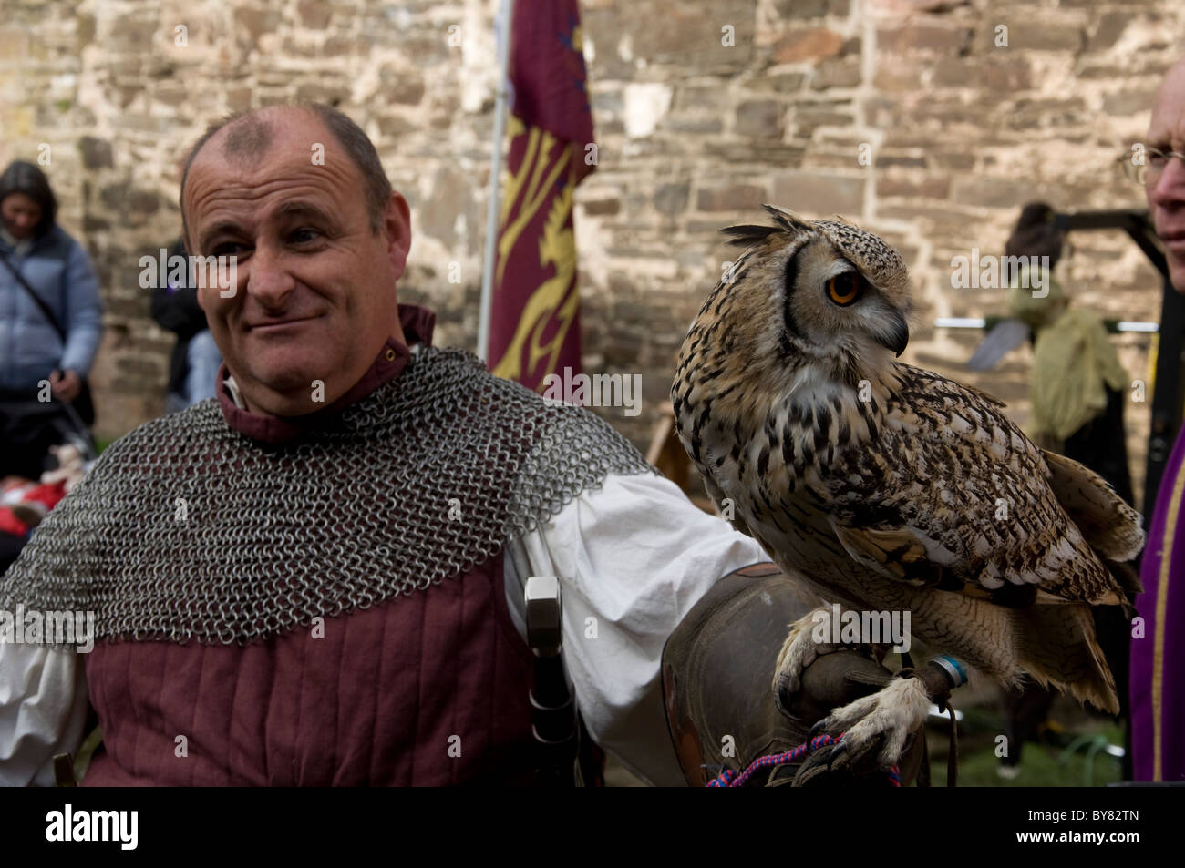 Il gufo sul display a una fiera medievale a Conwy Castle, Galles del Nord. Foto Stock