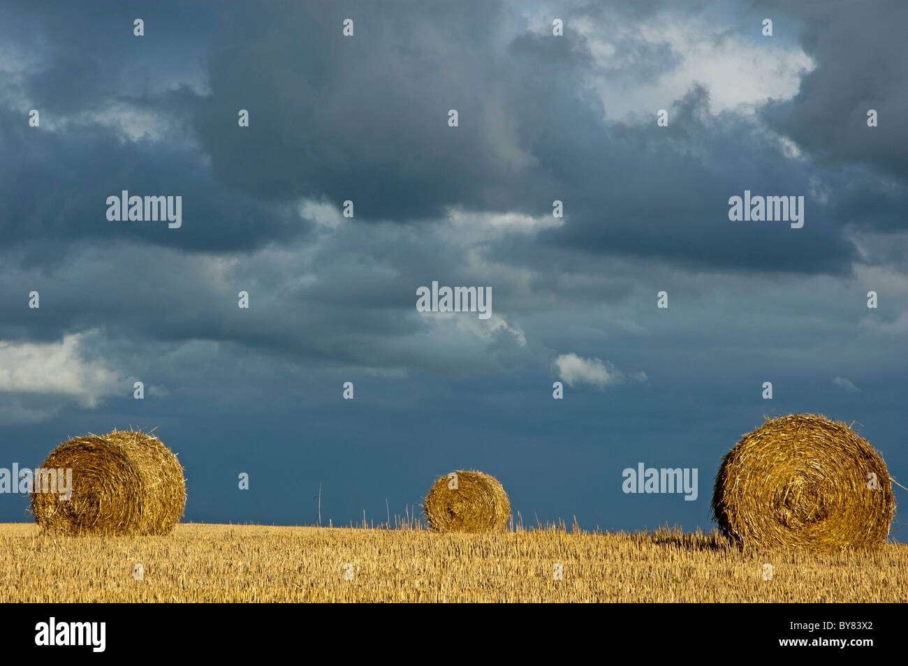Balle di fieno nel campo raccolte con cielo tempestoso Foto Stock
