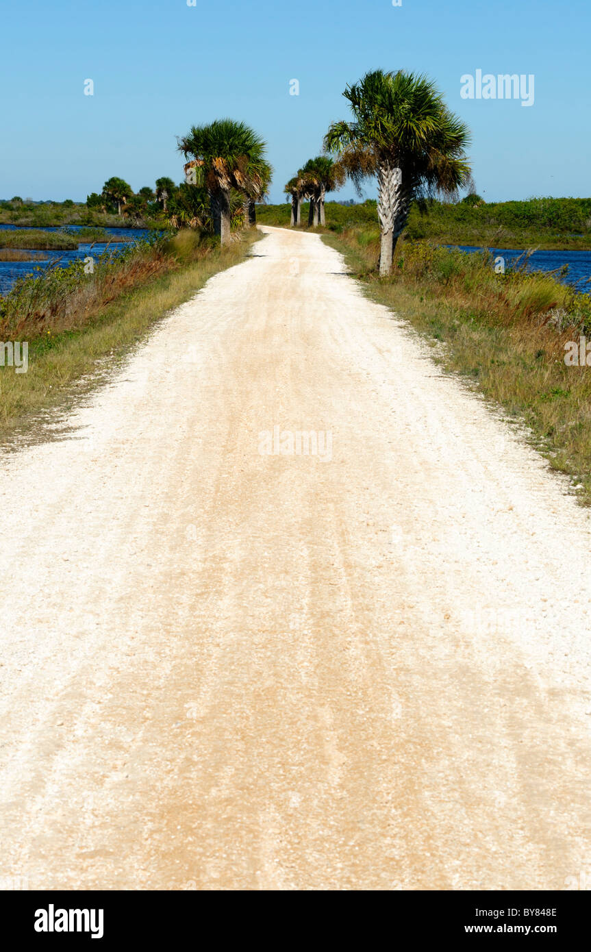 Merritt Island National Wildlife Refuge Titusville, Florida USA Foto Stock