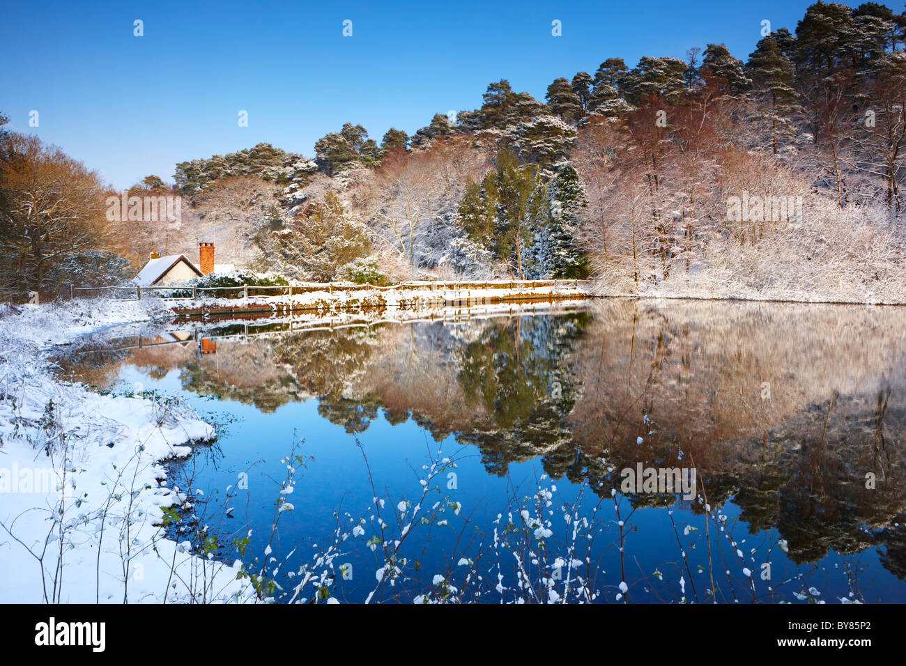 Una copertura di neve si riflette nel mulino stagno sul Venerdì Street, Surrey Foto Stock