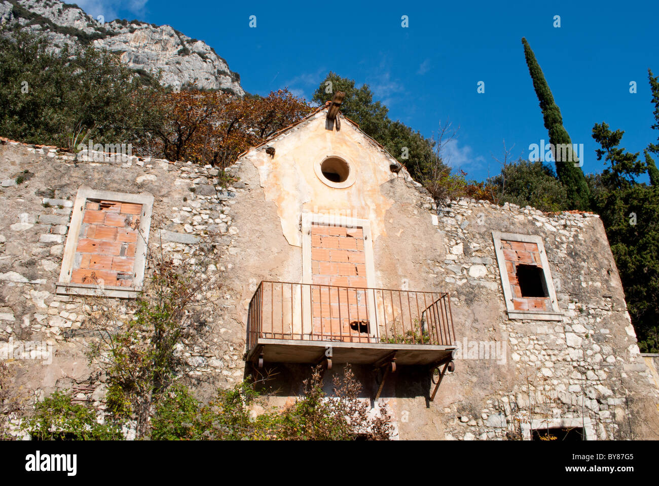 Casa abbandonata con sfondo larice Foto Stock