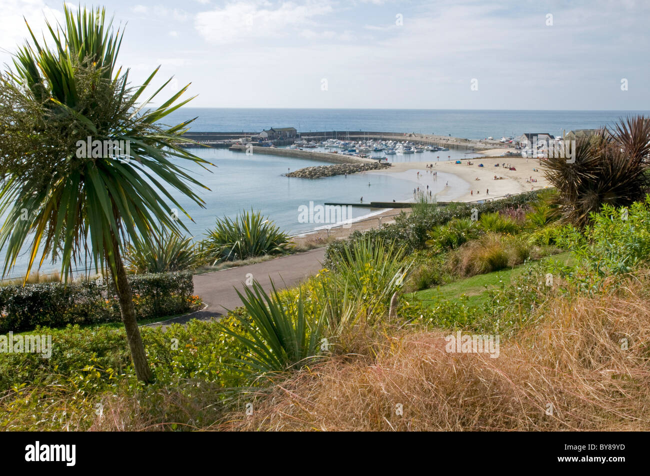 Vista su giardini Langmoor verso la spiaggia e la zona del porto a Lyme Regis, Dorset Foto Stock